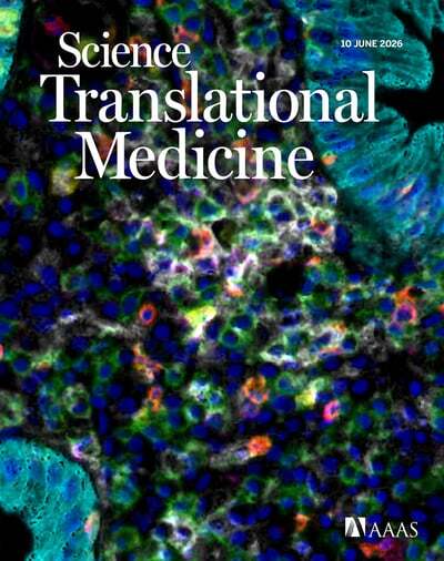 STM Cover